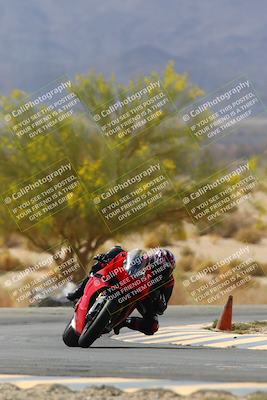 media/Apr-10-2022-SoCal Trackdays (Sun) [[f104b12566]]/Turn 5 Tree of Life (1040am)/